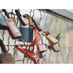 Lightweight Wool Car fr-FR